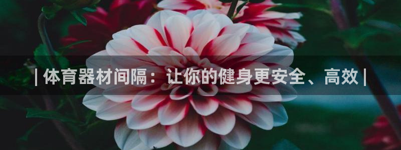 尊龙d88现金可来就送38