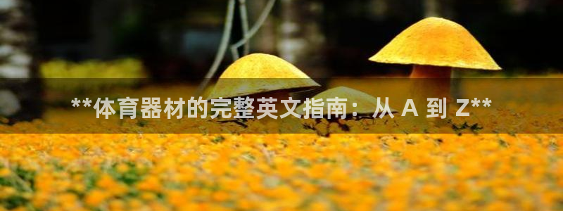 尊龙人生就是博ag旗舰厅