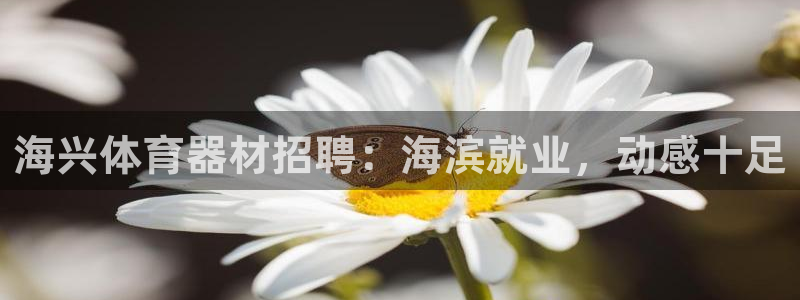 尊龙凯时的企业文化