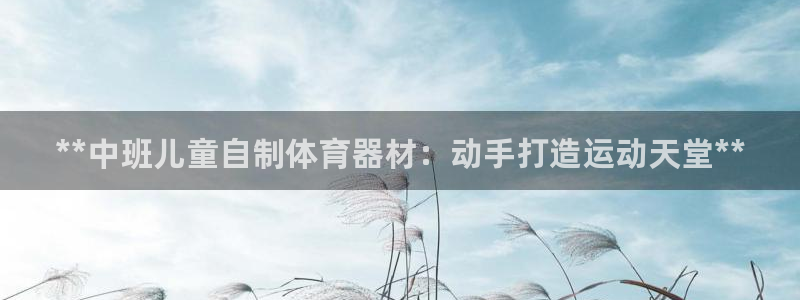 尊龙人生就是博送38：**中班儿童自制体育器材：动手打造运动