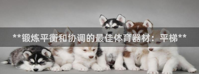 尊龙人生就是博登录